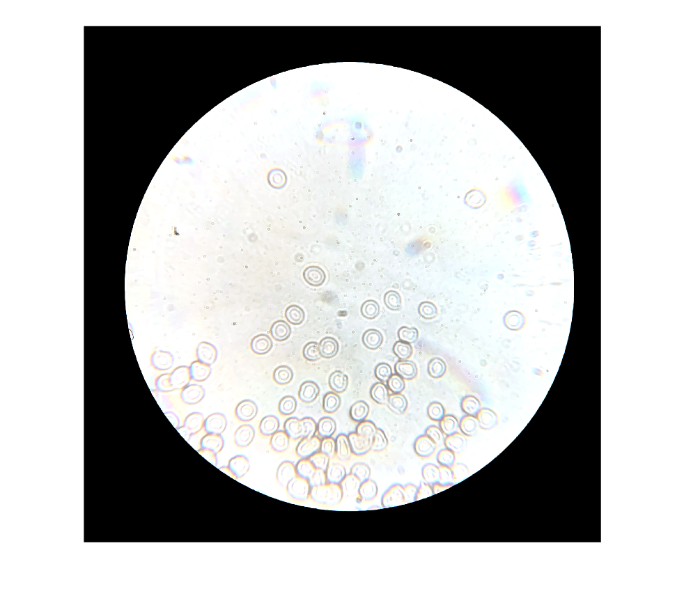 figure_33.png