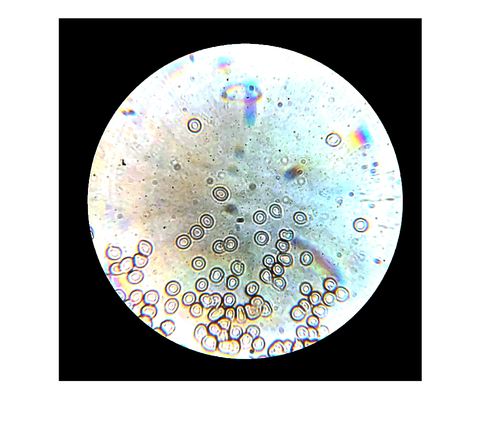 figure_34.png
